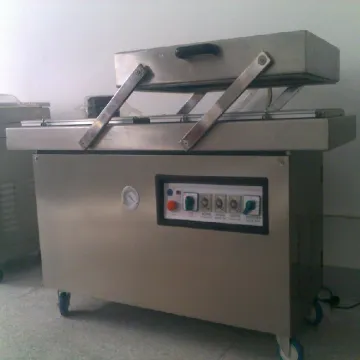 DZ400/2C Vacuum Packaging Machine