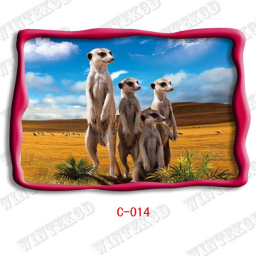 Animal Picture 3d Post Cards 
