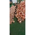 /msite/products/detail/productid/62994931/id/1512739.html