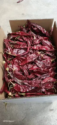 120 asta paprika pods