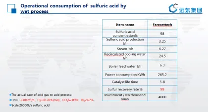 Acid Gas to Acid By Wet Process Technology