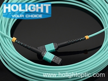 MPO Patch Cord