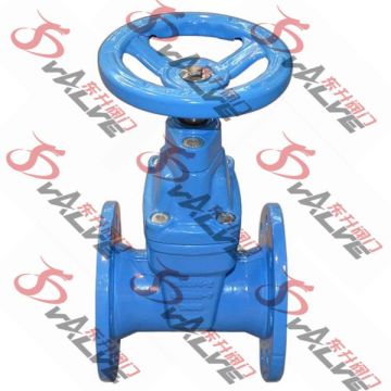 2" Inch Cast Iron Gate Valve
