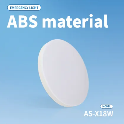 Led Emergency ceiling light