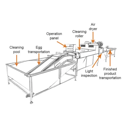 Industrial Chicken Egg Clean Machine: Salted Duck Egg Wash Machine for Sale