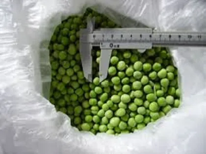 Instant Quick Frozen Green Peas