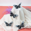 Butterfly nature craft