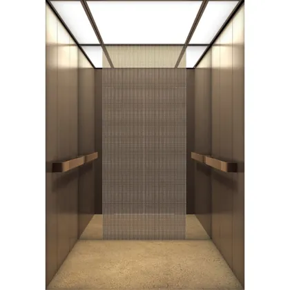 Best Quality Home Elevator Lift VVF Technology