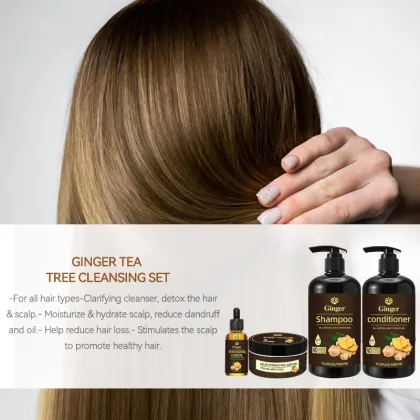 Factory Wholesale Organic Ginger Shampoo for Hair Loss and Regrowth