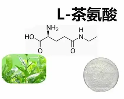 L-Theanine powder Natural L-Theanine 99%