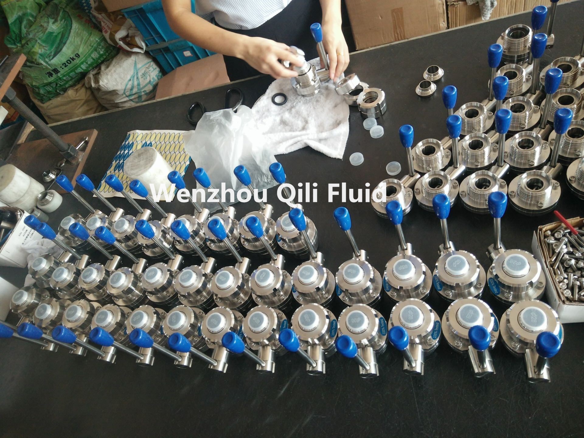 Butterfly Valve Sanitary