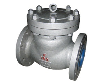 Sanitary Stainless Steel Swing Check Valve