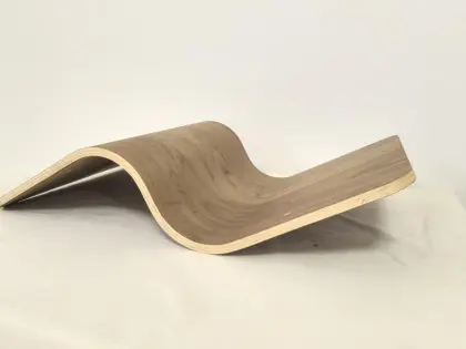 steaming and bending wood