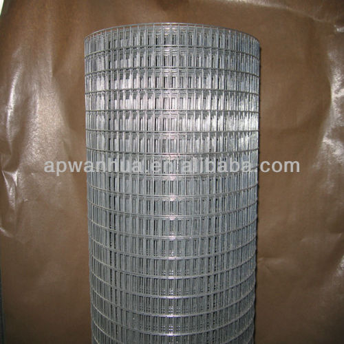 hot sale galvanized welded mesh ( anping wanhua )