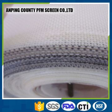 FDA Certification Polyester Linear Screen Filter Mesh Flat Woven Screen