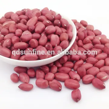 Wholesale Long Raw Peanut Price importers Peanuts 1 ton Price