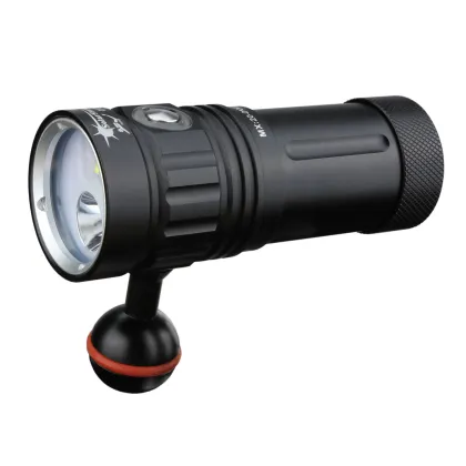 Portable Waterproof LED Underwater Dive Light