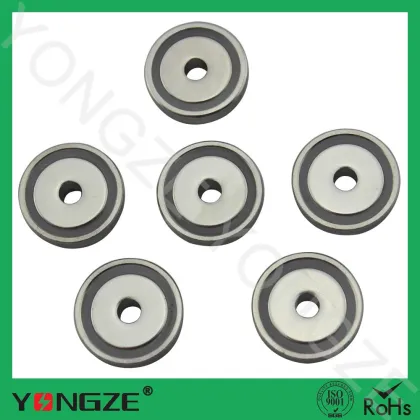 Disc monopole magnets