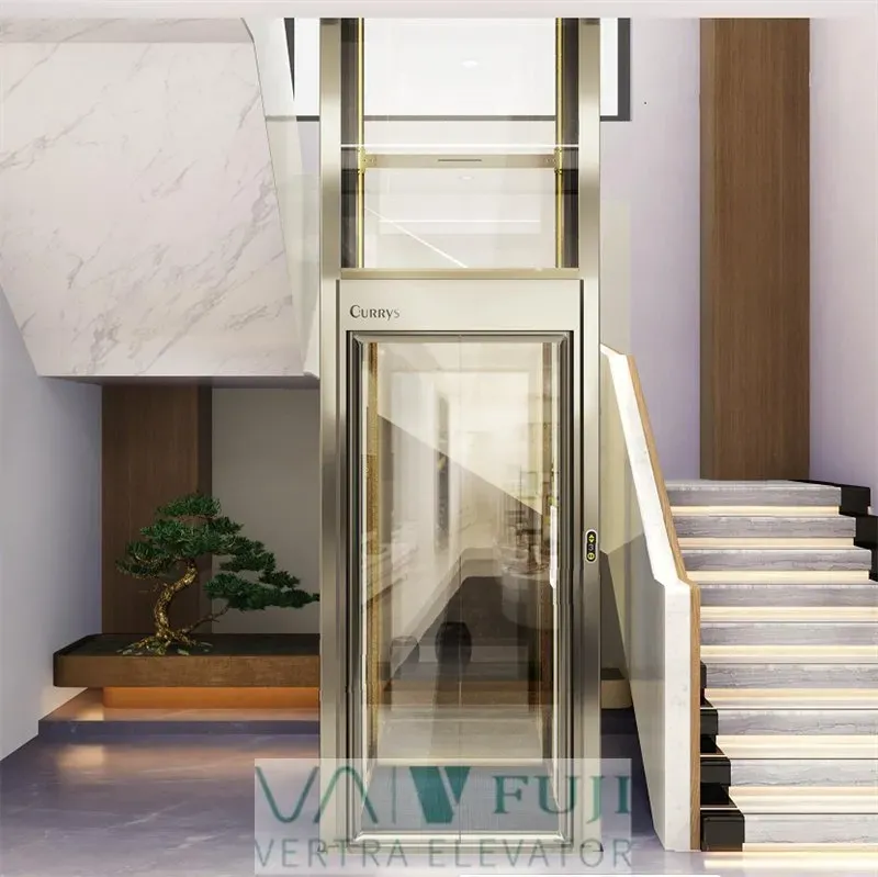 Traction 2/3 Floor Vertical Platform Villa Lift Home Sightseeing Elevator