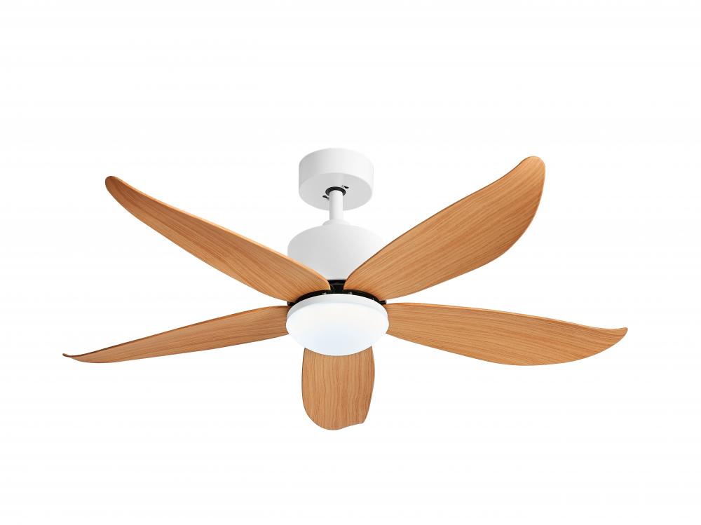 Marckeez DC ceiling fan with LED