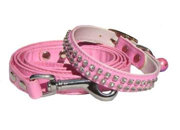 Pet Collar