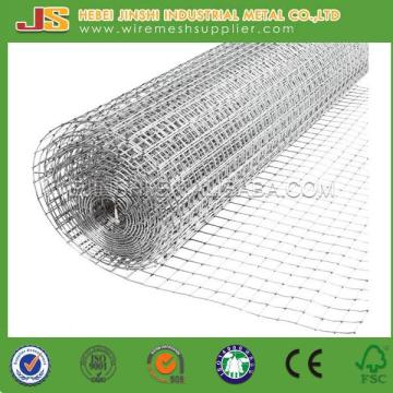 1/2"x1/2' Steel Galvanized Welded Wire Mesh for Buildng, Direct Manufactuer
