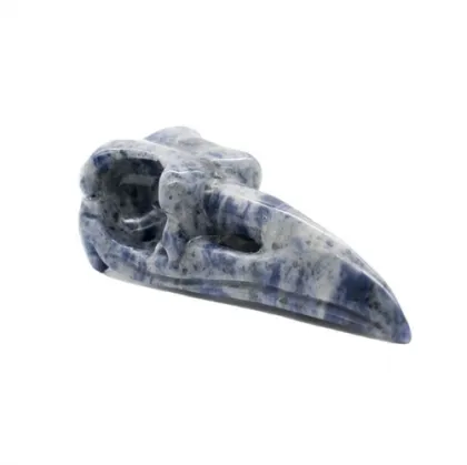 Raven Skulls 2020 1019