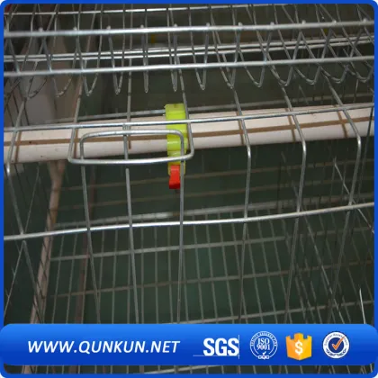 chicken poultry farm equipments