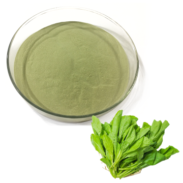 Spinach Extract(Spinach Juice Powder)
