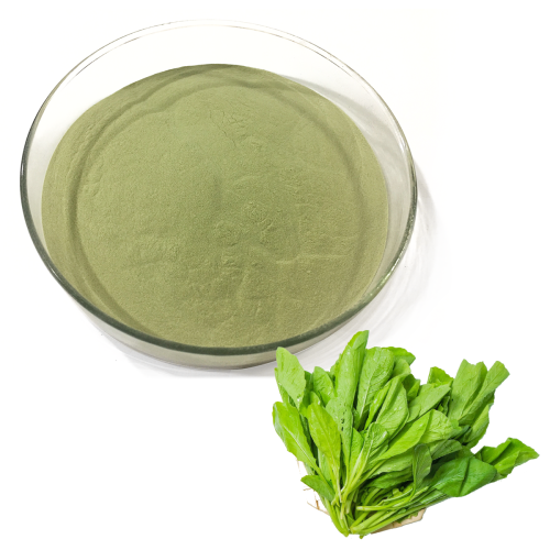 Spinach Extract(Spinach Juice Powder)