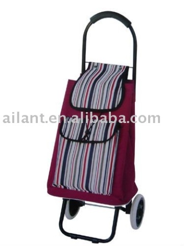 children shopping trolley