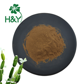 natural plant extract cissus quadrangularis extract