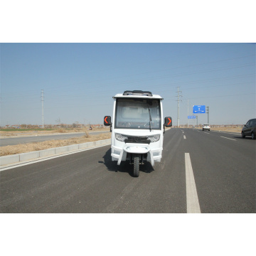 Tricycle électrique chargé de charge avec durcissement avec porte