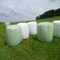 ရောင်စုံ silage forage မြက်ပင်ဆန့်ရုပ်ရှင်