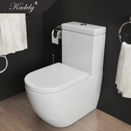 Top Italian Toilet Brands for Your One Piece Bathroom Design
