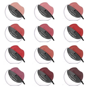 Wholesale Matte Velvet Waterproof Color-Changing Moisturizing Lipsticks - 12 Multi-Colors