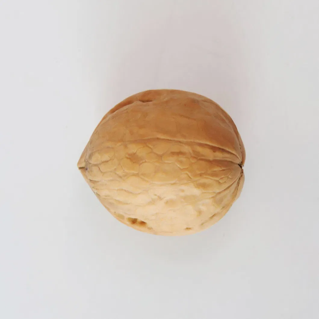 Plastik Ambalaj Süt Shacksnuts Altın Sarısı Organik Ceviz Çekirdekleri Yunnan Ceviz