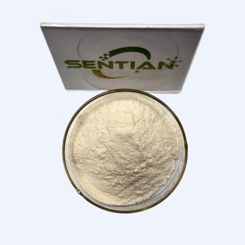 Premium Plant Extract Hydroxycitric Acid