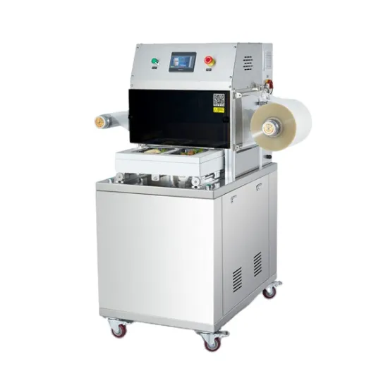 Automatic Vacpack Vacuum Sealer Machine for Meat and Fish Packaging
