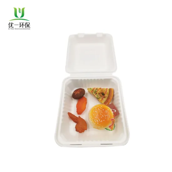 Disposable Sugarcane Biodegradable 8 inch Food Container