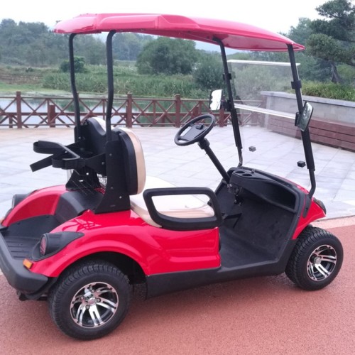 Hot Sale electric mini golf cart