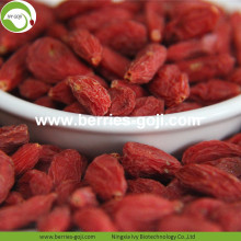 Kaufen Sie Natural Nutrition Getrocknete Lycium Fruit