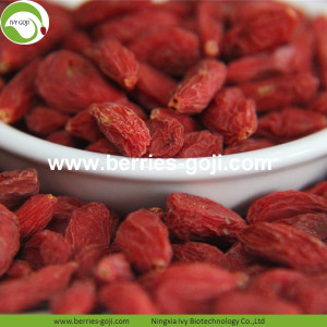 Buy Natural Nutrition Dried Lycium Fruit