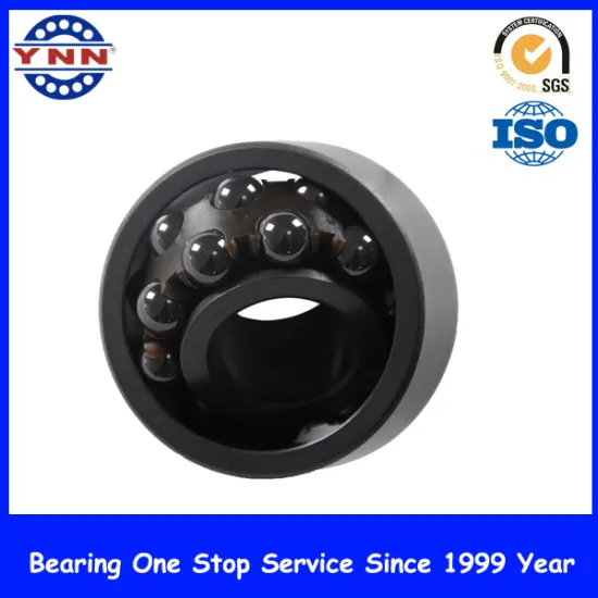 China Best Selling Ball Bearings Hybrid Ceramic Bearings (2202)