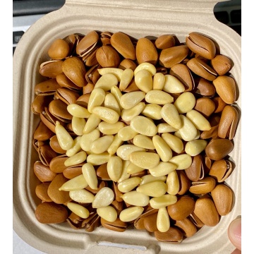 Delicious 500g Pine Nuts