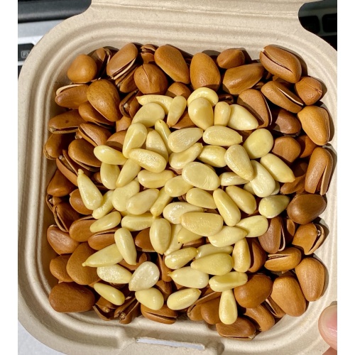 Delicious 500g Pine Nuts