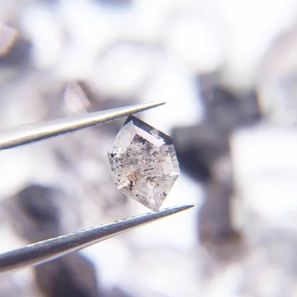 Natural Salt And Pepper Diamond Long Hexagon Cutting