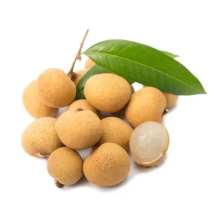 Arillus Longan Extract Powder 100% Natural 10:1