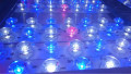 100W LED växelampa för blödande hydroponicsystem