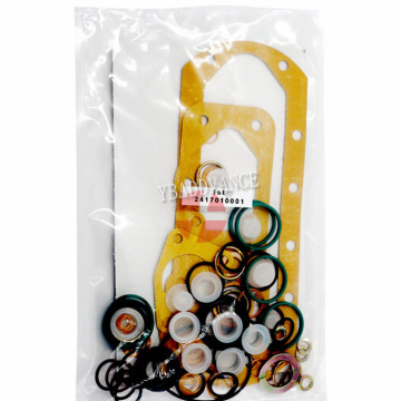 Bosh Fuel Injection Repair Kit Set 2417010001